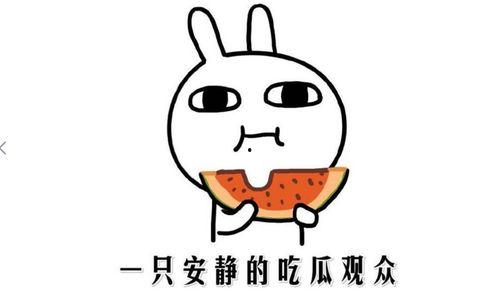 吃瓜新闻是新闻吗